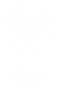 Matariki Poneke 2020